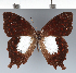  ( - CFC19588)  @11 [ ] copyright (2022) Center For Collection-Based Research Center For Collection-Based Research