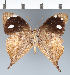  ( - CFC19590)  @11 [ ] copyright (2022) Center For Collection-Based Research Center For Collection-Based Research