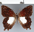  ( - CFC19624)  @11 [ ] copyright (2022) Center For Collection-Based Research Center For Collection-Based Research