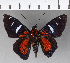 ( - CFC19654)  @11 [ ] Copyright (2018) Christer Fahraeus Center For Collection-Based Research