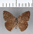  ( - CFC01977)  @11 [ ] Copyright (2018) Christer Fahraeus Center For Collection-Based Research