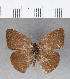  ( - CFC01981)  @12 [ ] Copyright (2018) Christer Fahraeus Center For Collection-Based Research
