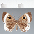  ( - CFC19828)  @11 [ ] copyright (2022) Center For Collection-Based Research Center For Collection-Based Research