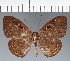 ( - CFC19880)  @11 [ ] copyright (2022) Center For Collection-Based Research Center For Collection-Based Research