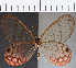  ( - CFC20151)  @11 [ ] Copyright (2019) Christer Fahraeus Center For Collection-Based Research
