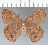  ( - CFC20276)  @11 [ ] copyright (2022) Center For Collection-Based Research Center For Collection-Based Research