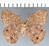  ( - CFC20278)  @11 [ ] copyright (2022) Center For Collection-Based Research Center For Collection-Based Research