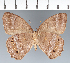  ( - CFC20310)  @11 [ ] copyright (2022) Center For Collection-Based Research Center For Collection-Based Research