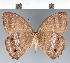  ( - CFC20346)  @11 [ ] copyright (2022) Center For Collection-Based Research Center For Collection-Based Research
