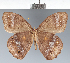  ( - CFC20348)  @11 [ ] copyright (2022) Center For Collection-Based Research Center For Collection-Based Research