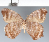  ( - CFC20351)  @11 [ ] copyright (2022) Center For Collection-Based Research Center For Collection-Based Research