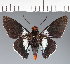  ( - CFC20373)  @11 [ ] copyright (2023) Center For Collection-Based Research Center For Collection-Based Research