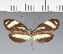  ( - CFC20658)  @11 [ ] copyright (2023) Center For Collection-Based Research Center For Collection-Based Research