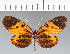  ( - CFC20676)  @11 [ ] copyright (2022) Center For Collection-Based Research Center For Collection-Based Research