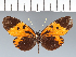  ( - CFC20677)  @11 [ ] copyright (2022) Center For Collection-Based Research Center For Collection-Based Research