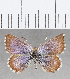  ( - CFC20707)  @11 [ ] Copyright (2020) Christer Fahraeus Center For Collection-Based Research
