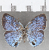  ( - CFC20739)  @11 [ ] copyright (2020) Christer Fahraeus Center For Collection-Based Research