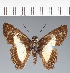  ( - CFC20854)  @11 [ ] copyright (2023) Center For Collection-Based Research Center For Collection-Based Research