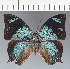  ( - CFC20893)  @11 [ ] copyright (2023) Center For Collection-Based Research Center For Collection-Based Research