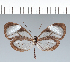  ( - CFC20904)  @11 [ ] copyright (2022) Center For Collection-Based Research Center For Collection-Based Research