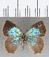  ( - CFC21102)  @11 [ ] Copyright (2019) Christer Fahraeus Center For Collection-Based Research