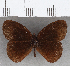  ( - CFC21126)  @11 [ ] copyright (2020) Christer Fahraeus Center For Collection-Based Research