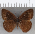  ( - CFC21127)  @11 [ ] copyright (2020) Christer Fahraeus Center For Collection-Based Research