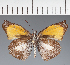  ( - CFC21147)  @11 [ ] copyright (2023) Center For Collection-Based Research Center For Collection-Based Research