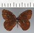  ( - CFC21205)  @11 [ ] copyright (2023) Center For Collection-Based Research Center For Collection-Based Research