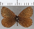  ( - CFC21263)  @11 [ ] copyright (2020) Christer Fahraeus Center For Collection-Based Research