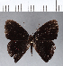  ( - CFC02139)  @11 [ ] Copyright (2018) Christer Fahraeus Center For Collection-Based Research