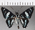  ( - CFC21422)  @11 [ ] Copyright (2019) Christer Fahraeus Center For Collection-Based Research