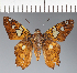  ( - CFC21454)  @11 [ ] copyright (2023) Center For Collection-Based Research Center For Collection-Based Research