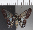  ( - CFC21501)  @11 [ ] Copyright (2018) Christer Fahraeus Center For Collection-Based Research