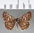  ( - CFC02155)  @11 [ ] Copyright (2018) Christer Fahraeus Center For Collection-Based Research