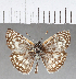  ( - CFC02157)  @11 [ ] Copyright (2018) Christer Fahraeus Center For Collection-Based Research