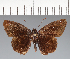  ( - CFC21575)  @11 [ ] copyright (2023) Center For Collection-Based Research Center For Collection-Based Research