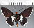  ( - CFC21685)  @11 [ ] copyright (2023) Center For Collection-Based Research Center For Collection-Based Research