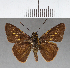  ( - CFC02169)  @11 [ ] Copyright (2018) Christer Fahraeus Center For Collection-Based Research
