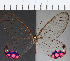  ( - CFC21871)  @11 [ ] Copyright (2019) Christer Fahraeus Center For Collection-Based Research