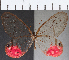  ( - CFC21873)  @11 [ ] Copyright (2019) Christer Fahraeus Center For Collection-Based Research