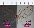  ( - CFC21874)  @11 [ ] Copyright (2019) Christer Fahraeus Center For Collection-Based Research
