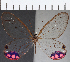  ( - CFC21875)  @11 [ ] Copyright (2019) Christer Fahraeus Center For Collection-Based Research