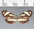  ( - CFC21934)  @11 [ ] copyright (2023) Center For Collection-Based Research Center For Collection-Based Research