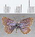 ( - CFC22025)  @11 [ ] Copyright (2020) Christer Fahraeus Center For Collection-Based Research