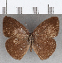  ( - CFC22055)  @11 [ ] copyright (2020) Christer Fahraeus Center For Collection-Based Research