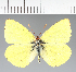  ( - CFC22071)  @11 [ ] copyright (2023) Center For Collection-Based Research Center For Collection-Based Research
