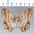  ( - CFC22160)  @11 [ ] copyright (2022) Center For Collection-Based Research Center For Collection-Based Research