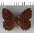  ( - CFC22280)  @11 [ ] copyright (2023) Center For Collection-Based Research Center For Collection-Based Research