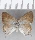  ( - CFC22440)  @13 [ ] Copyright (2019) Christer Fahraeus Center For Collection-Based Research